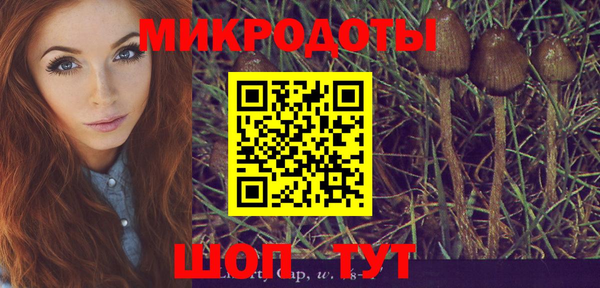 Галлюциногенные грибы Psilocybine cubensis  Вход с VPN  Вязьма  Псилоцибиновые грибы ЛСД 